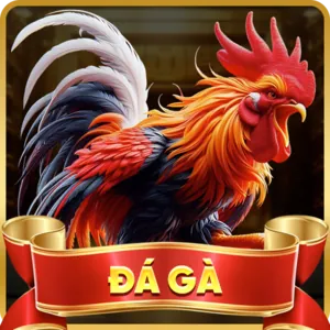 Hỗ Trợ Khách Hàng